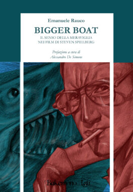 cover bigger boat per sito2